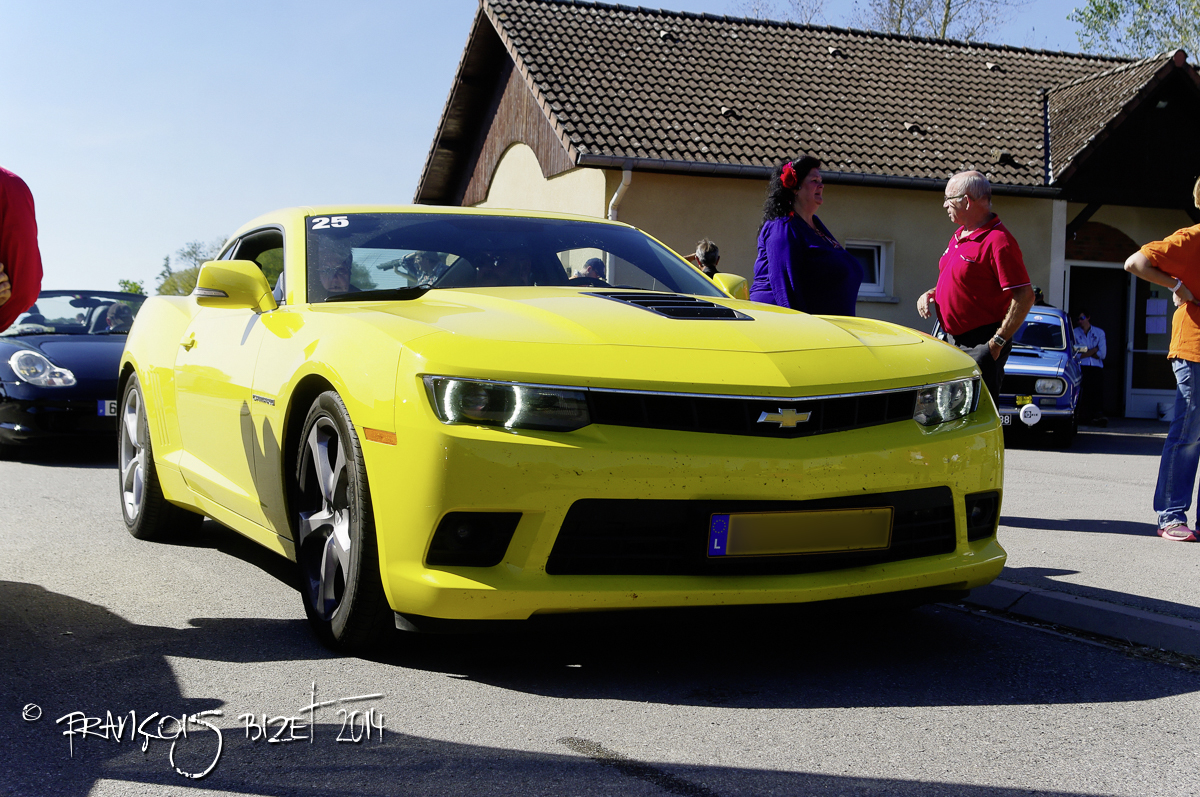 Dahut 2014 191