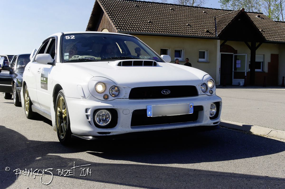 Dahut 2014 252