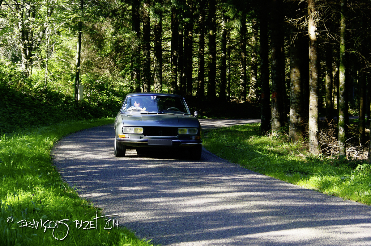 Dahut 2014 289