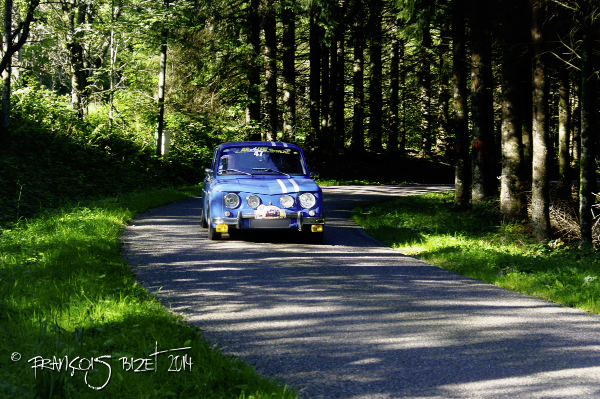 Dahut 2014 300