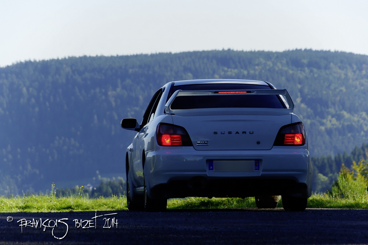 Dahut 2014 318