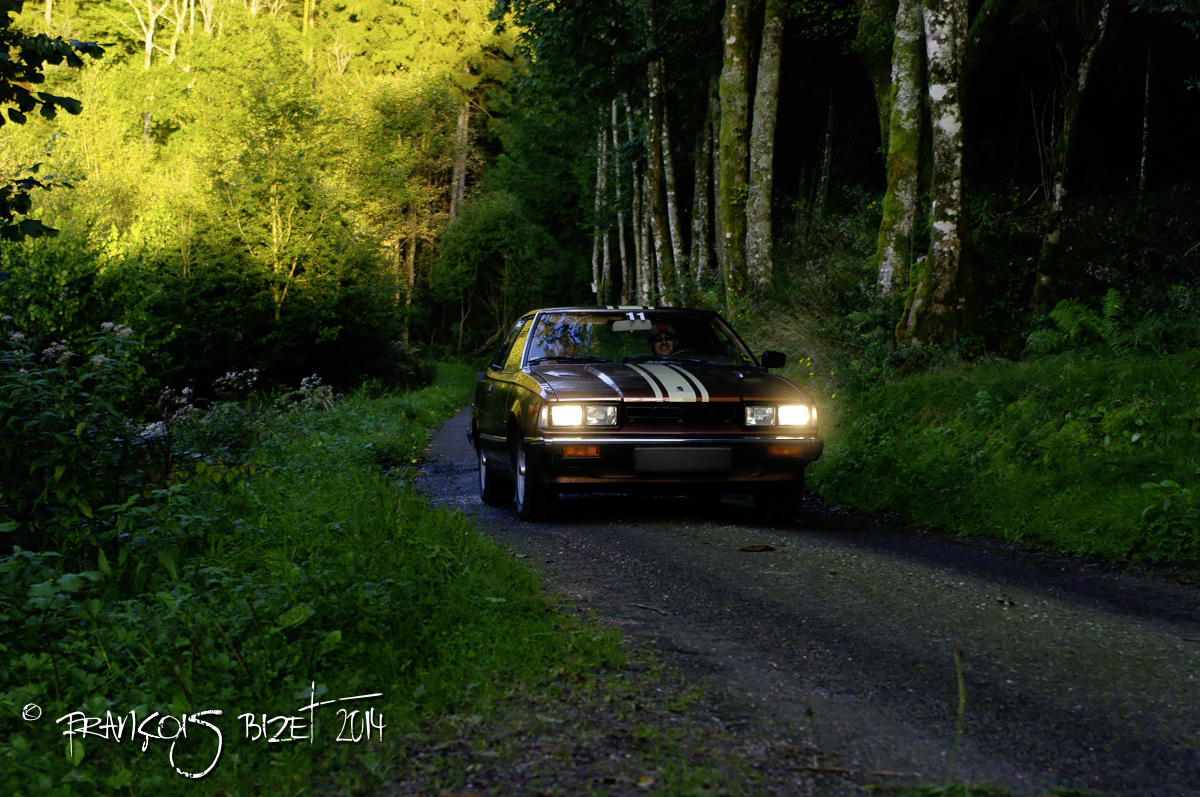 Dahut 2014 349