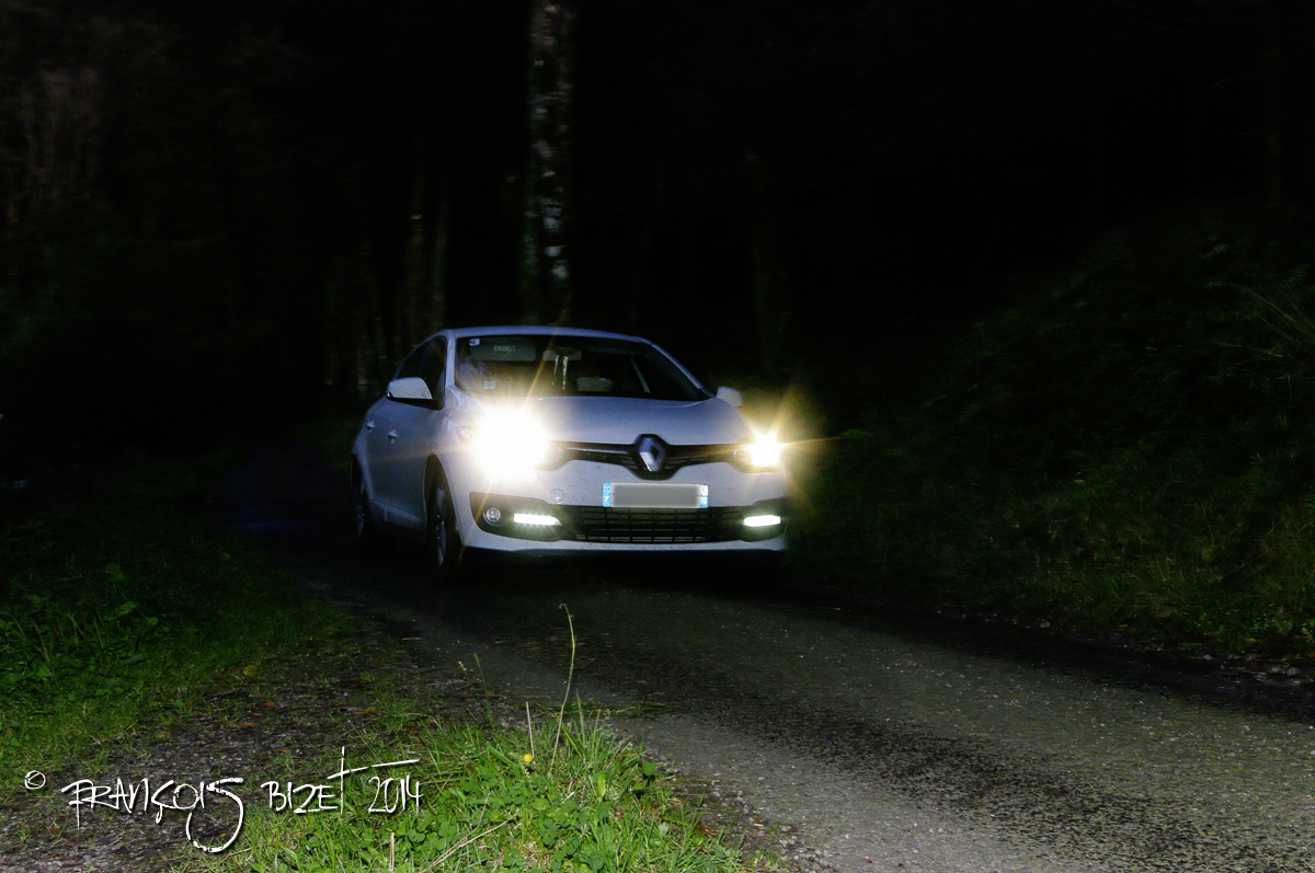 Dahut 2014 365