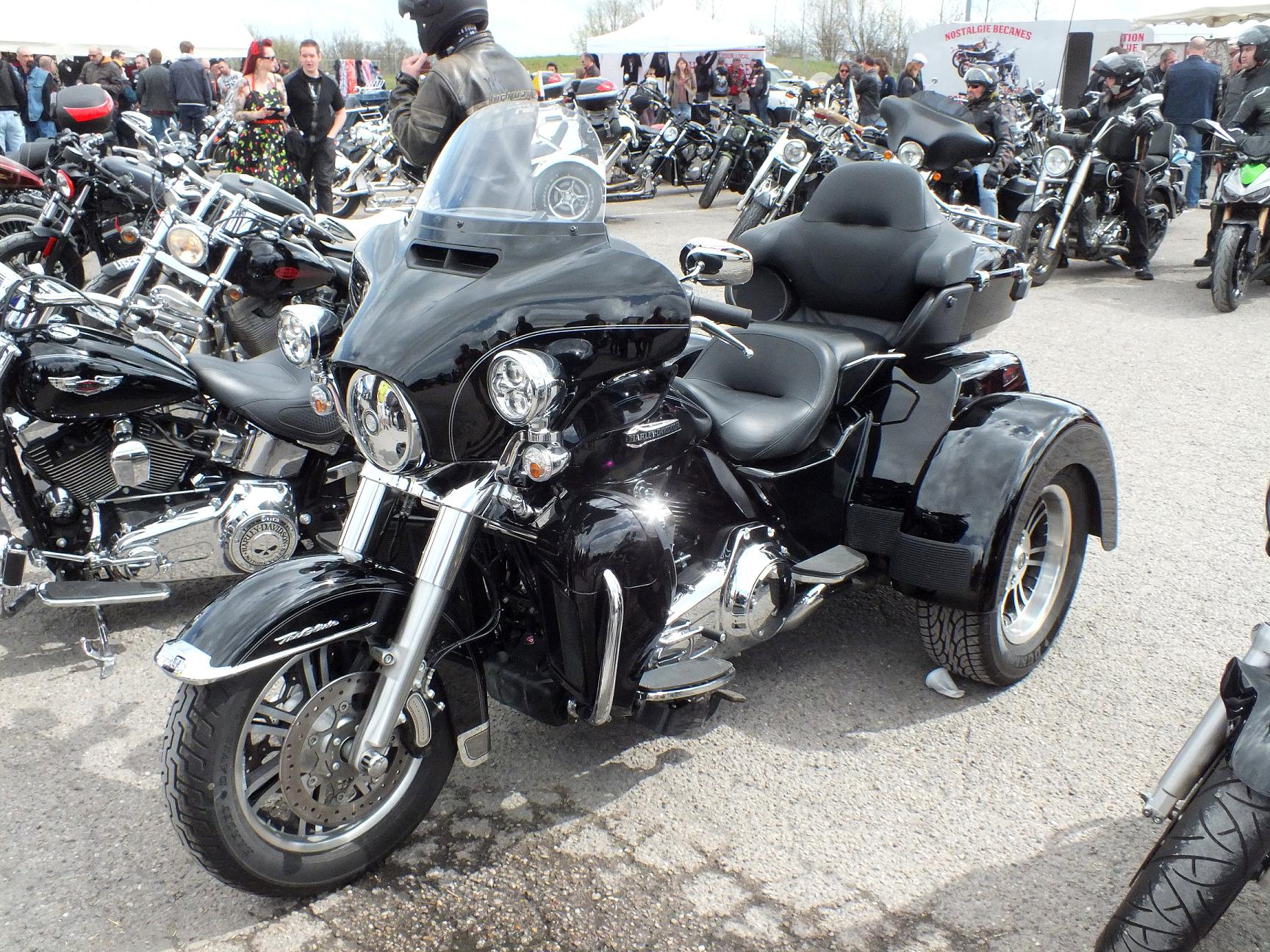 Thunderfest 2015 12