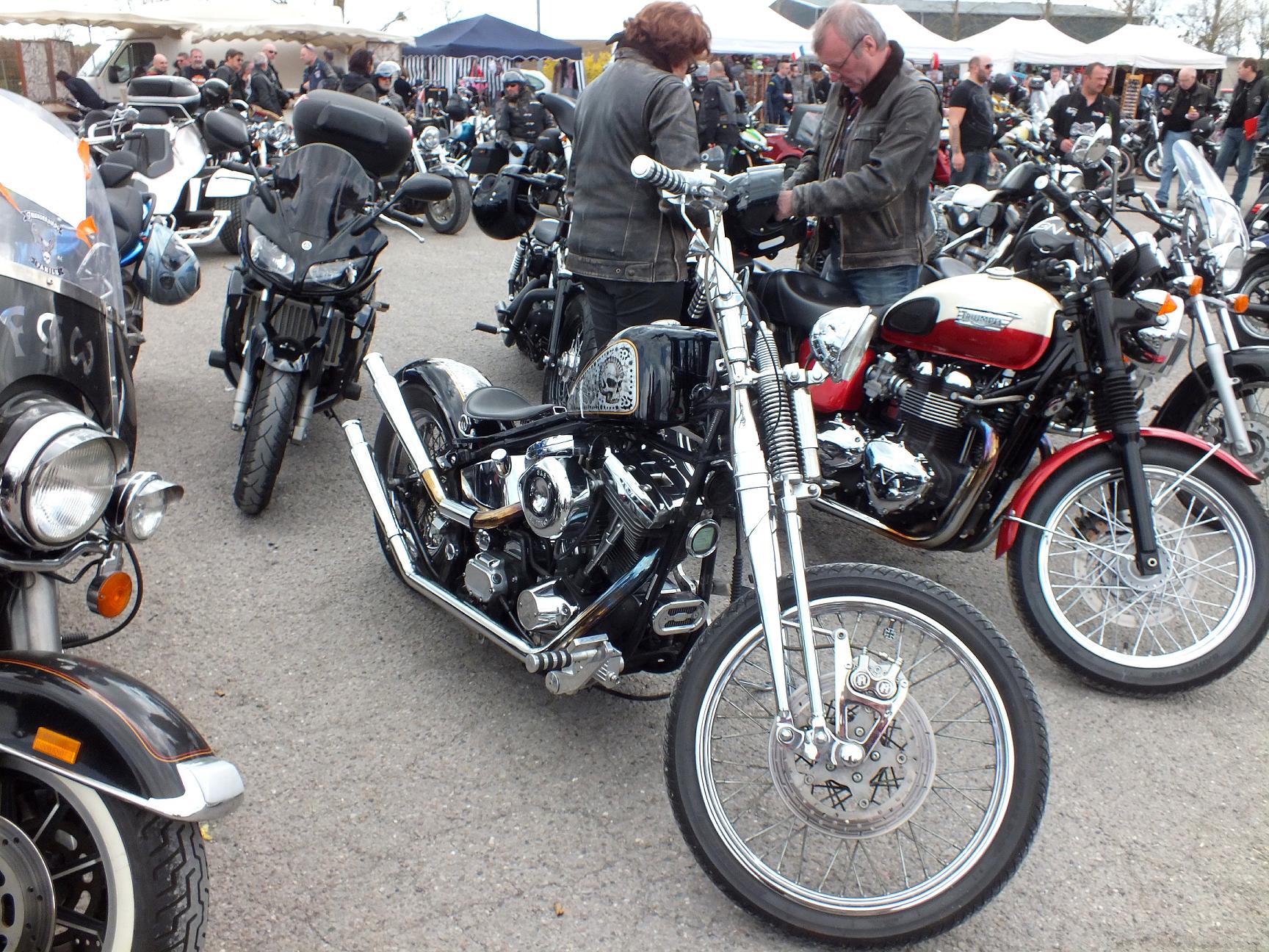 Thunderfest 2015 13