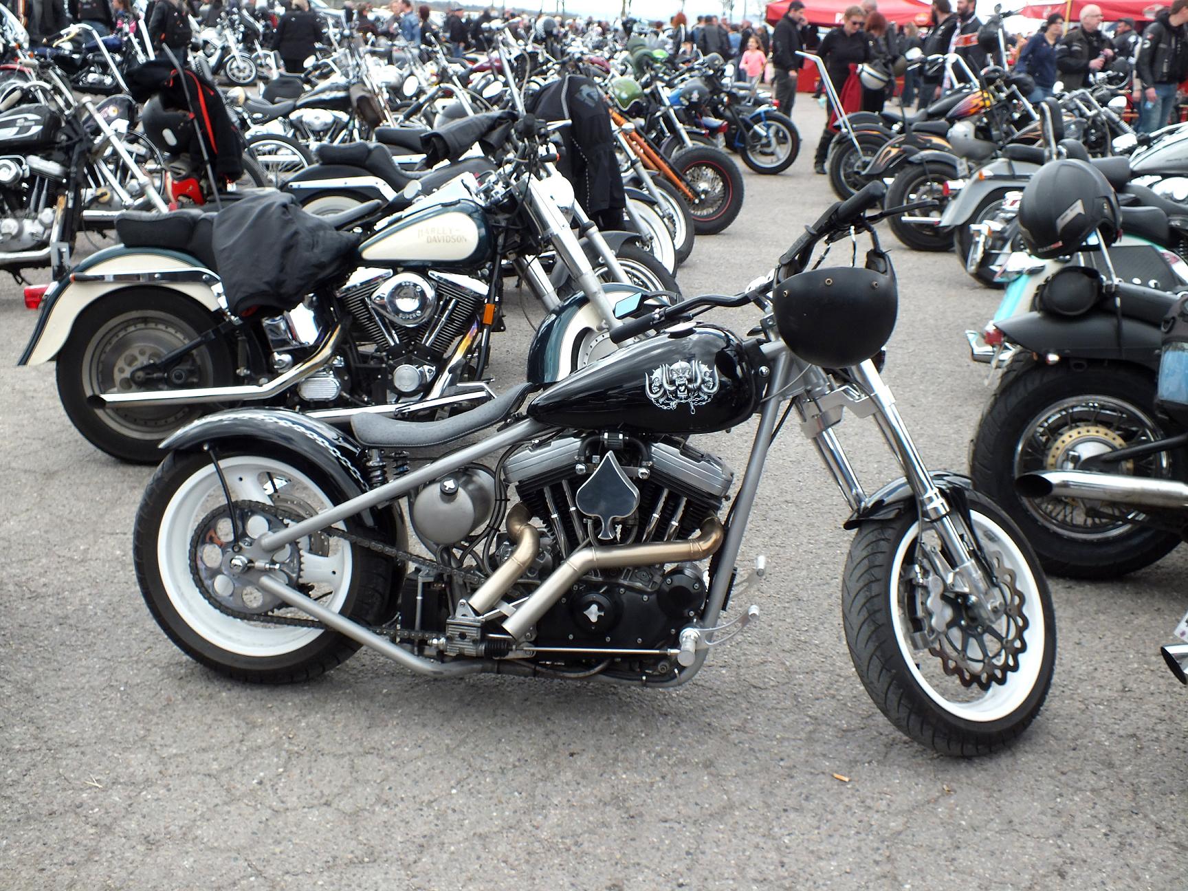 Thunderfest 2015 20