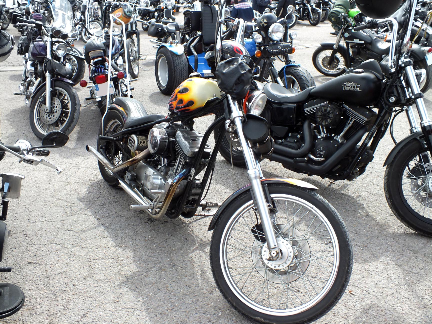 Thunderfest 2015 34