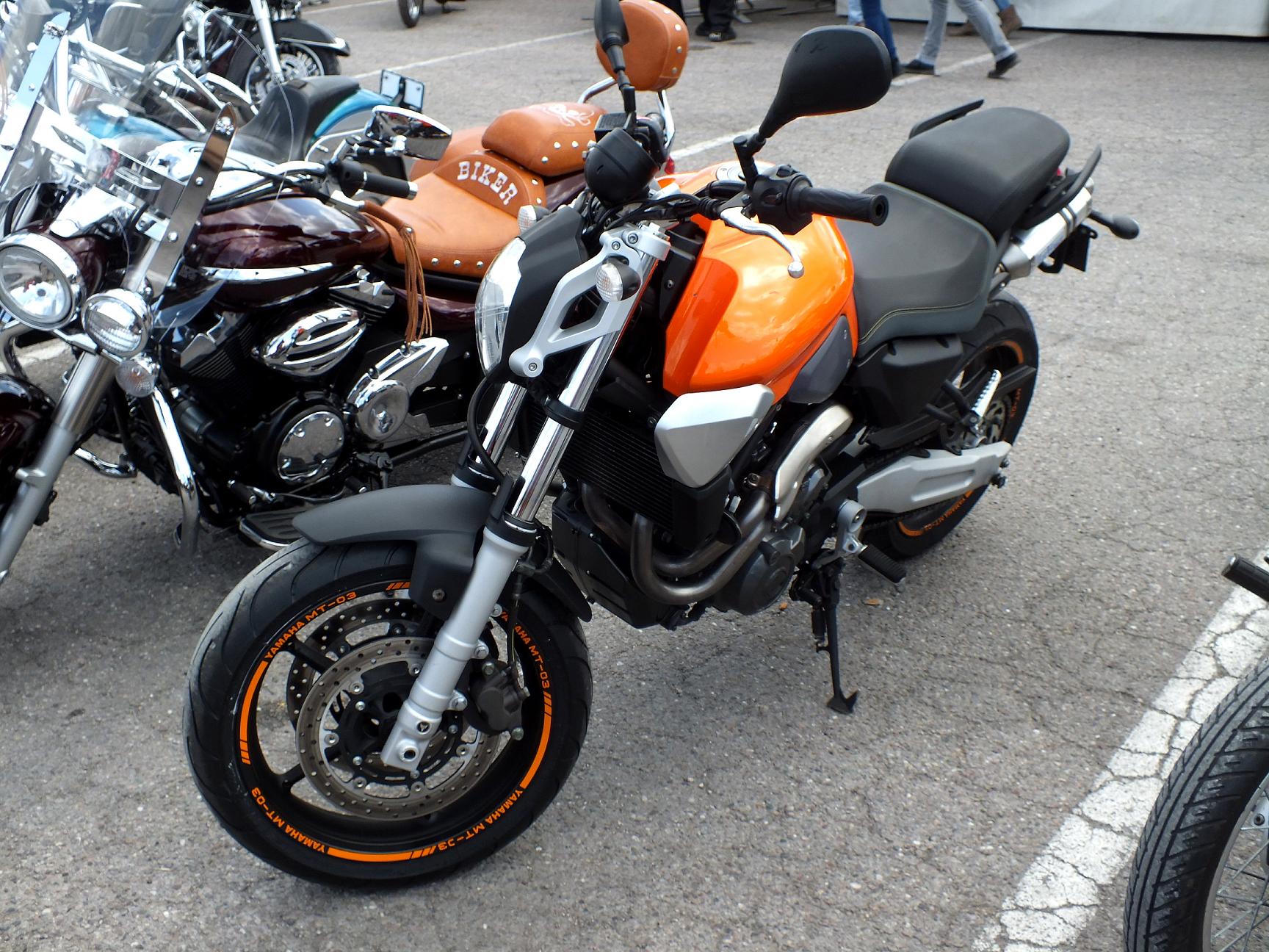 Thunderfest 2015 49