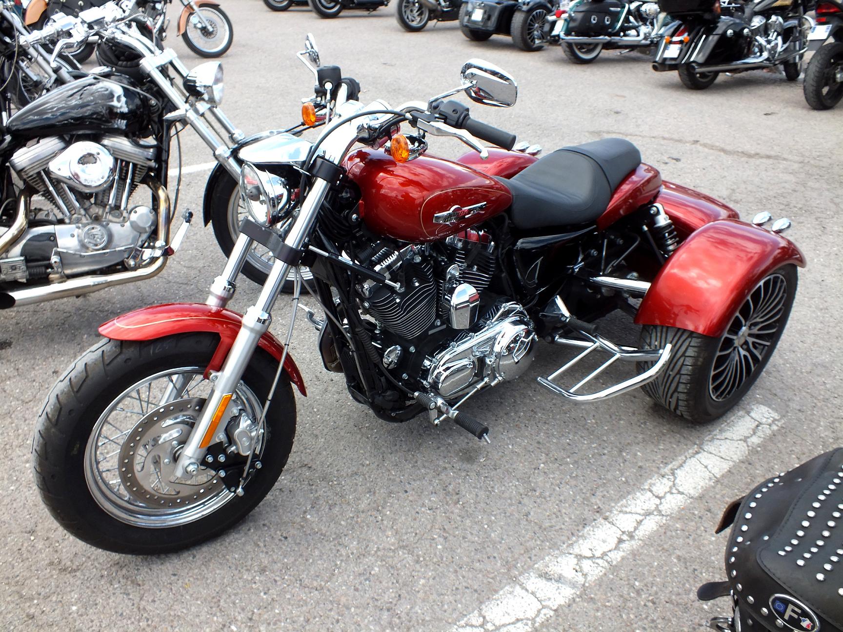 Thunderfest 2015 53