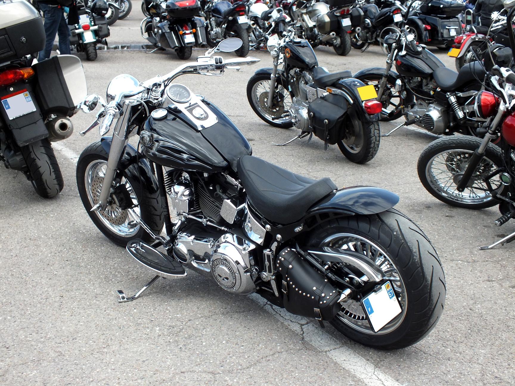 Thunderfest 2015 55