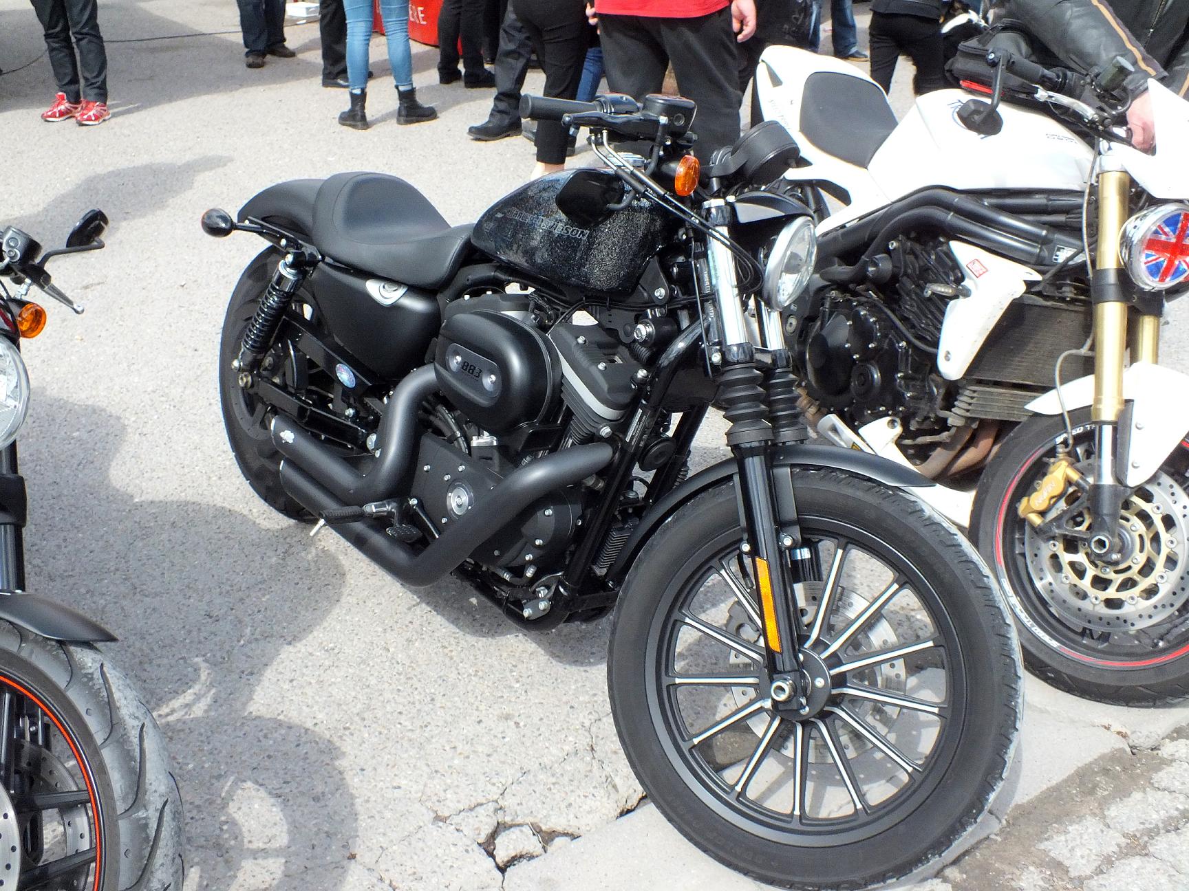 Thunderfest 2015 73