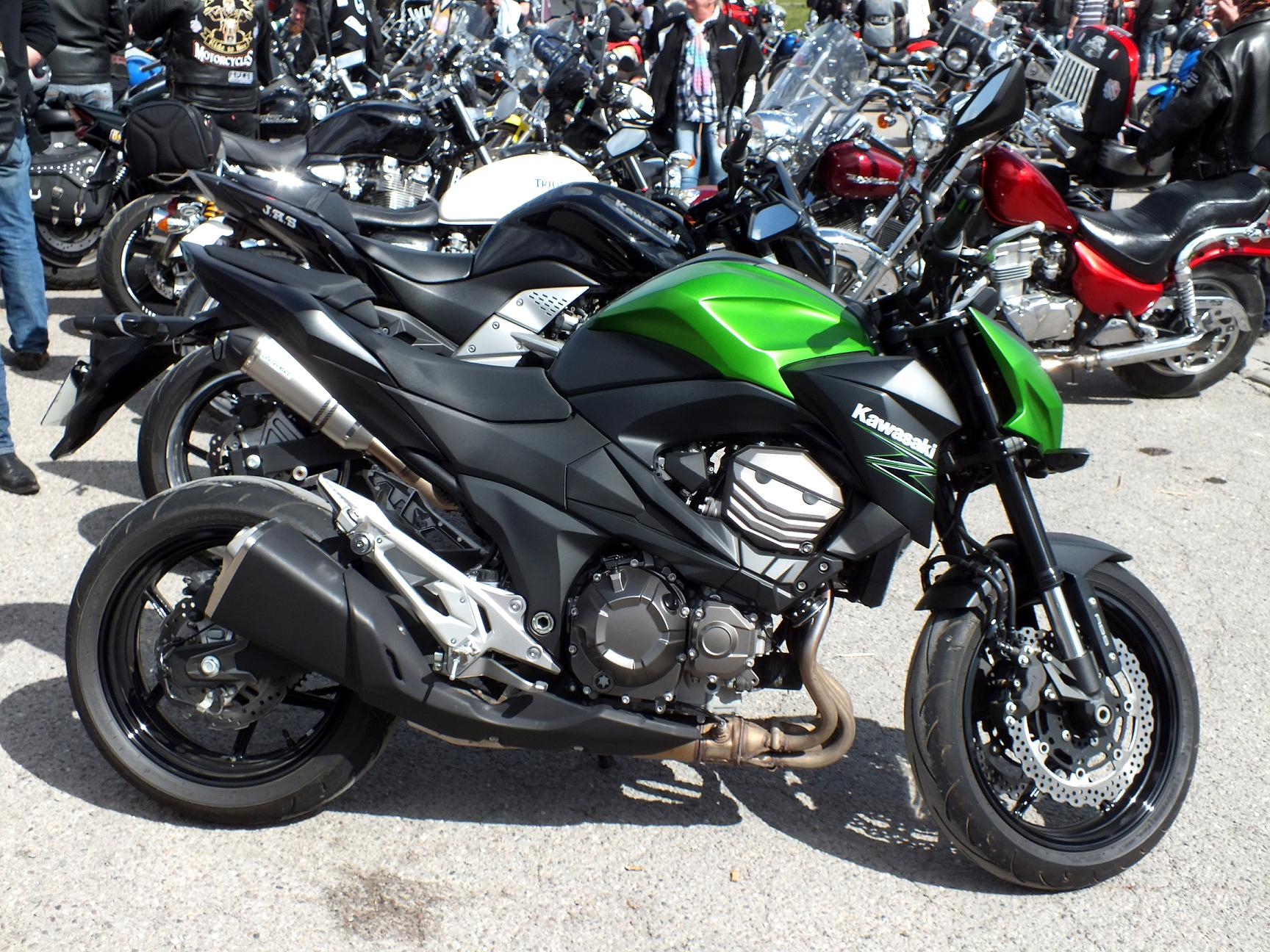Thunderfest 2015 77